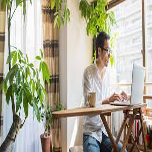 Best remote careers that can help you work from anywhere in the world